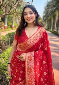 Floral Organza Sarees with Zari Weave – Trendy Collection (Pink)
